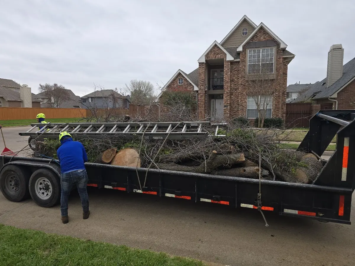 Expert Lot Clearing with proper safety equipment in Spurgeon